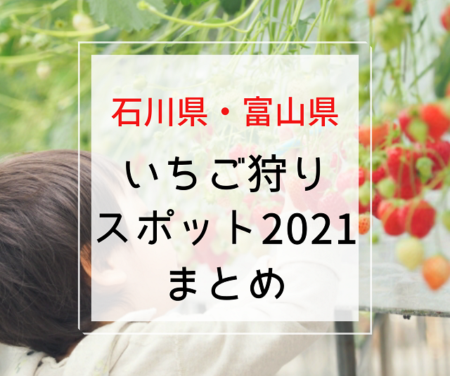 いちご狩り21 石川 富山のイチゴ狩りスポット10選 Local Blog 公式 ワタシゴト 北陸のステキなヒトコトモノを応援するブログメディア